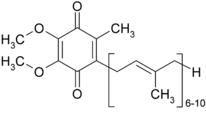 koferment-q10-logo