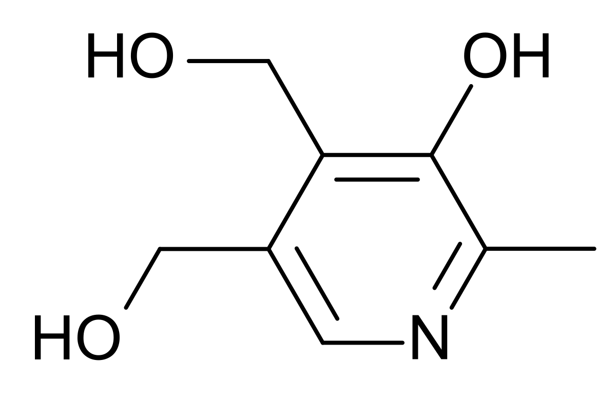 vitamin-v6-logo
