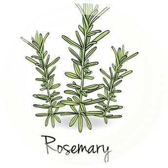 ekstrakt-listev-rozmarina-logo