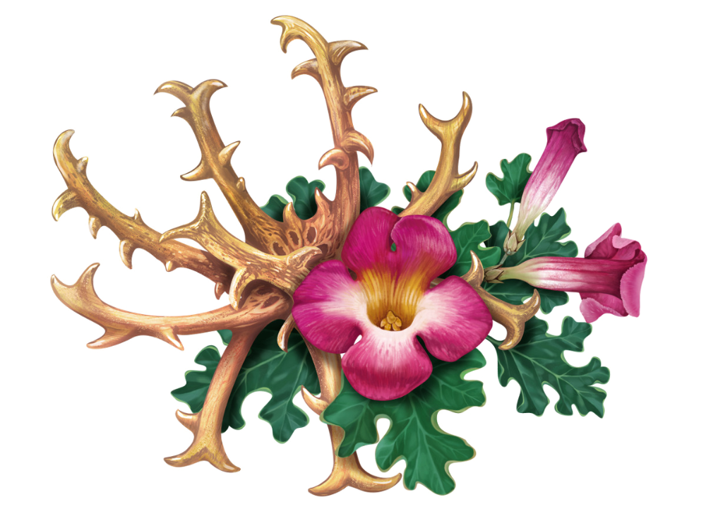ekstrakt-martinii-dushistoy-logo