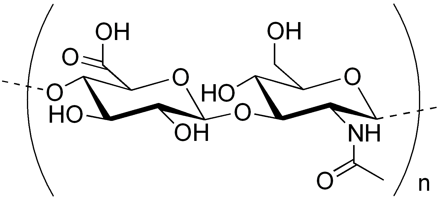 gialuronovaya-kislota-logo