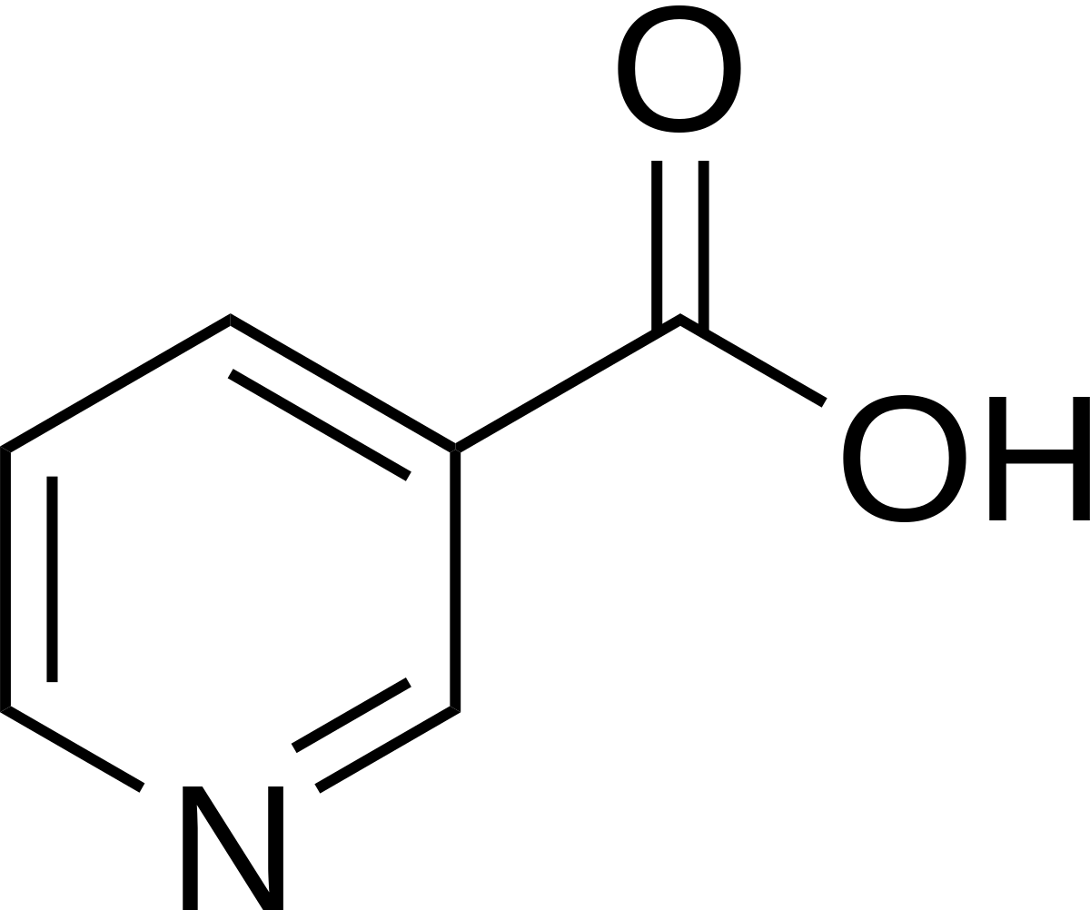 vitamin-v3-logo