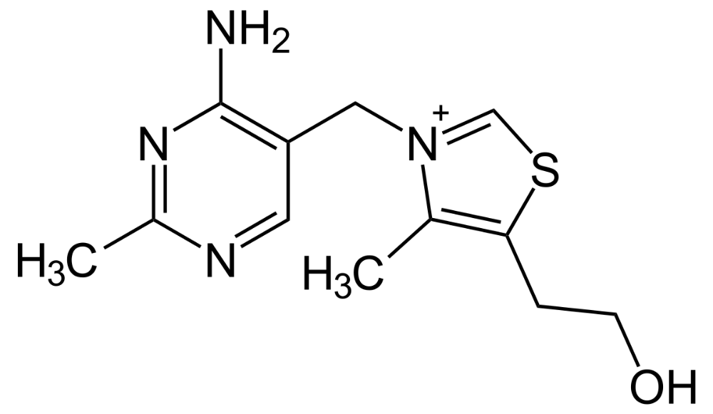 vitamin-v1-logo