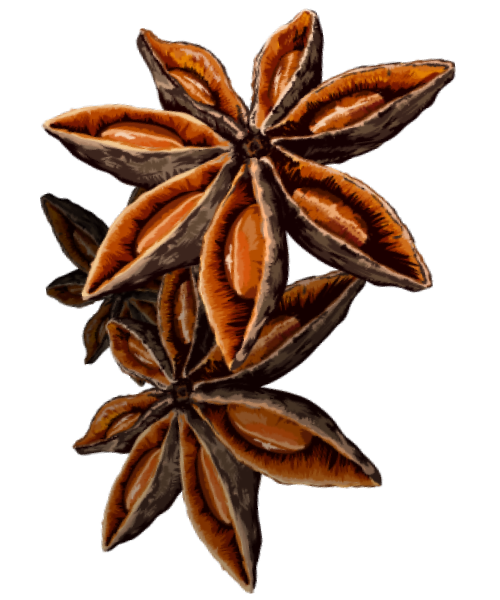 anis-logo